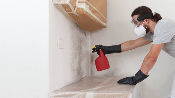 Professional Mold Cleanup technician working in Lawrence, MA