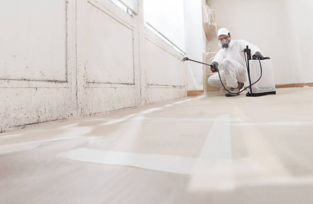 24/7 Emergency Mold Cleanup experts in Lawrence, MA