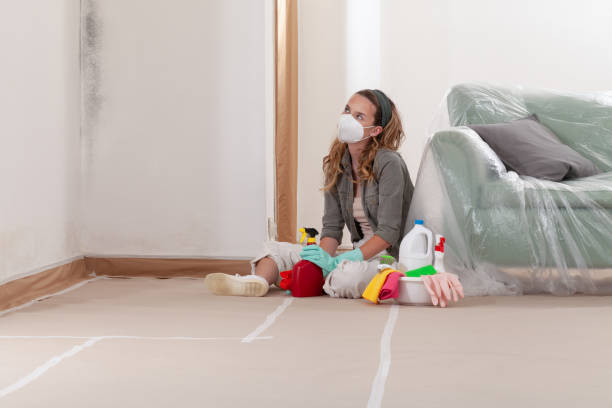 Reliable Mold Cleanup contractor in Lawrence, MA by Cheap Mold Removal